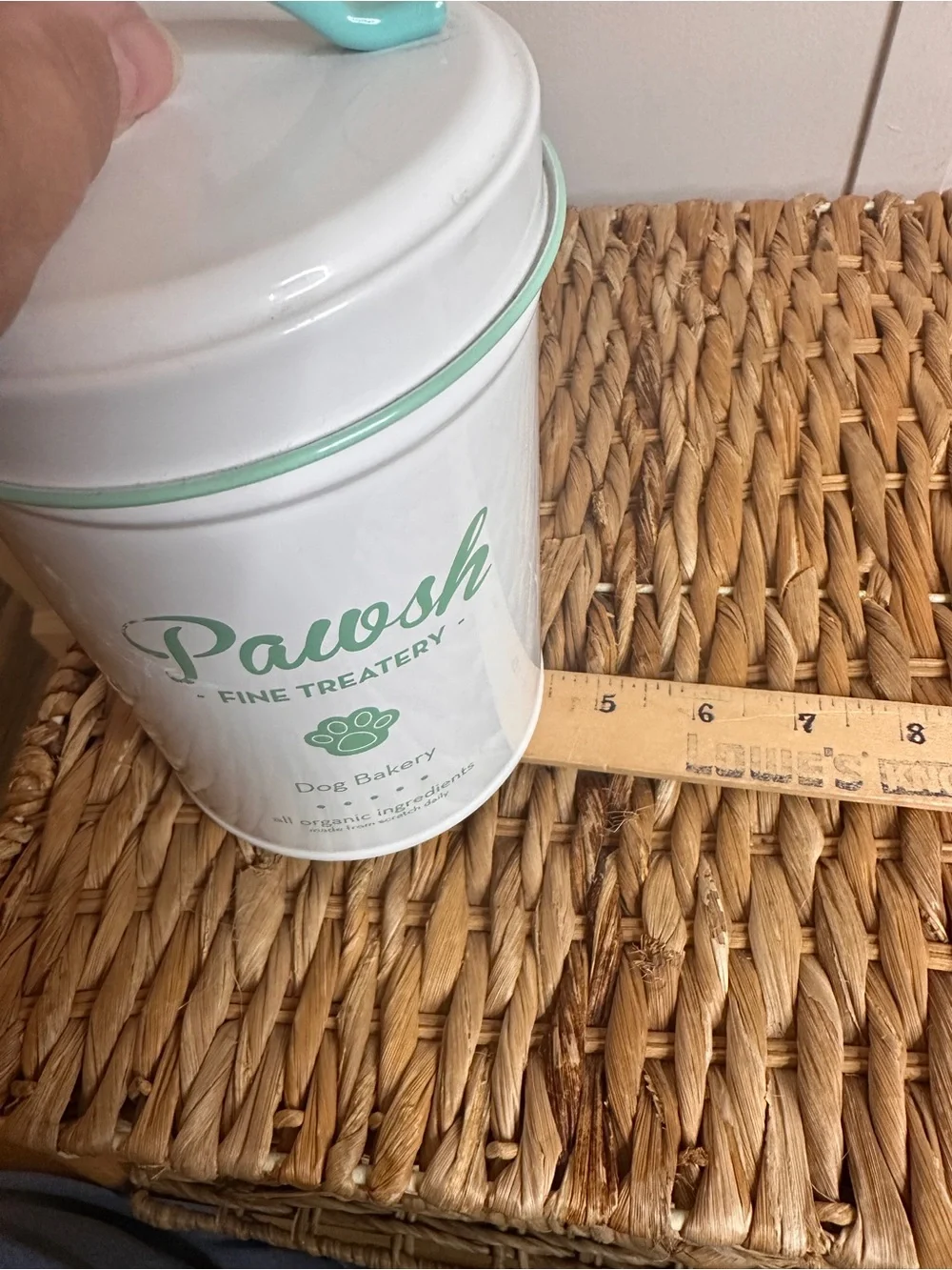 White & Mint Dog Treat Canister